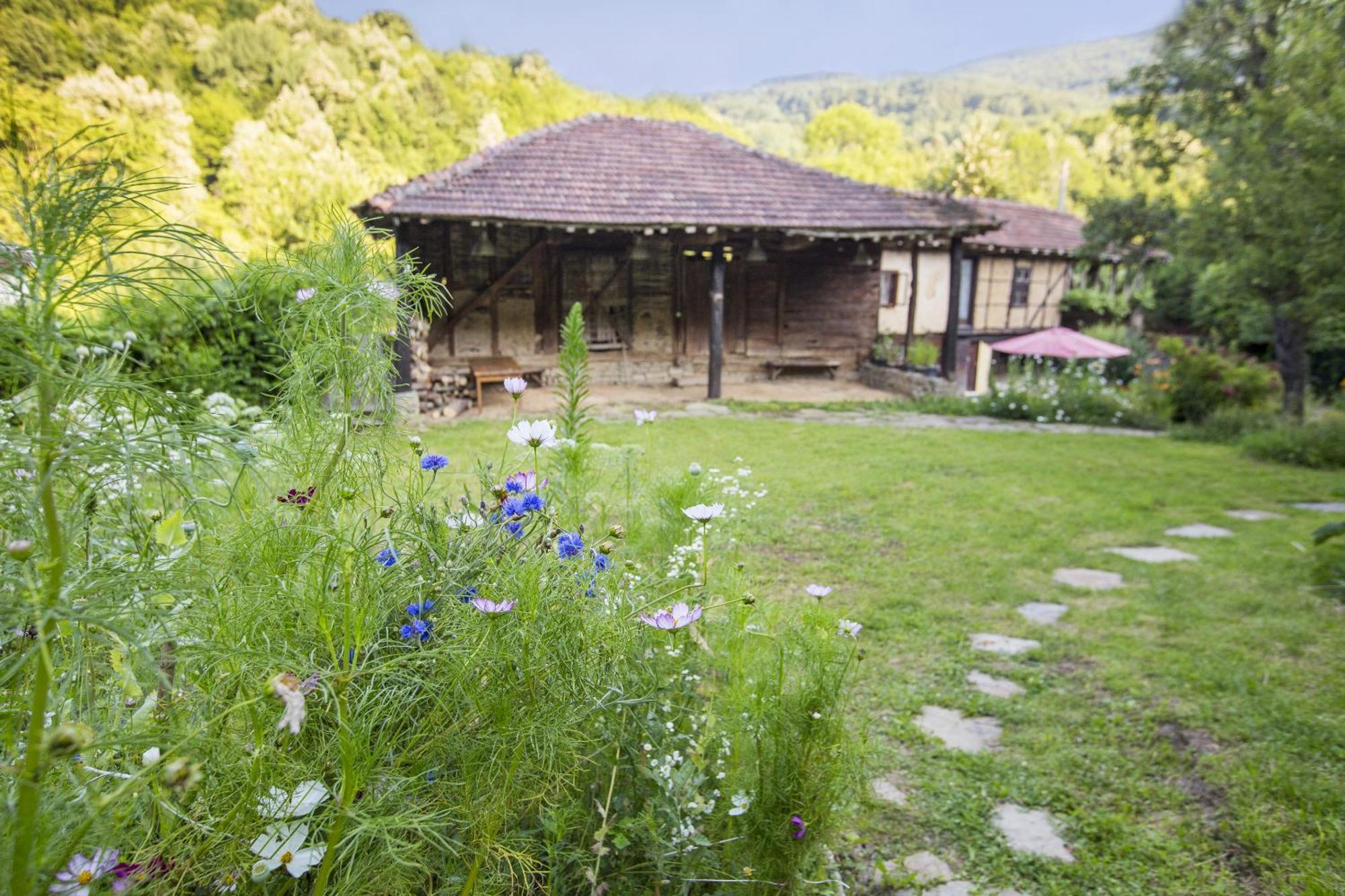 Little River Guest House Gabrovo Esterno foto